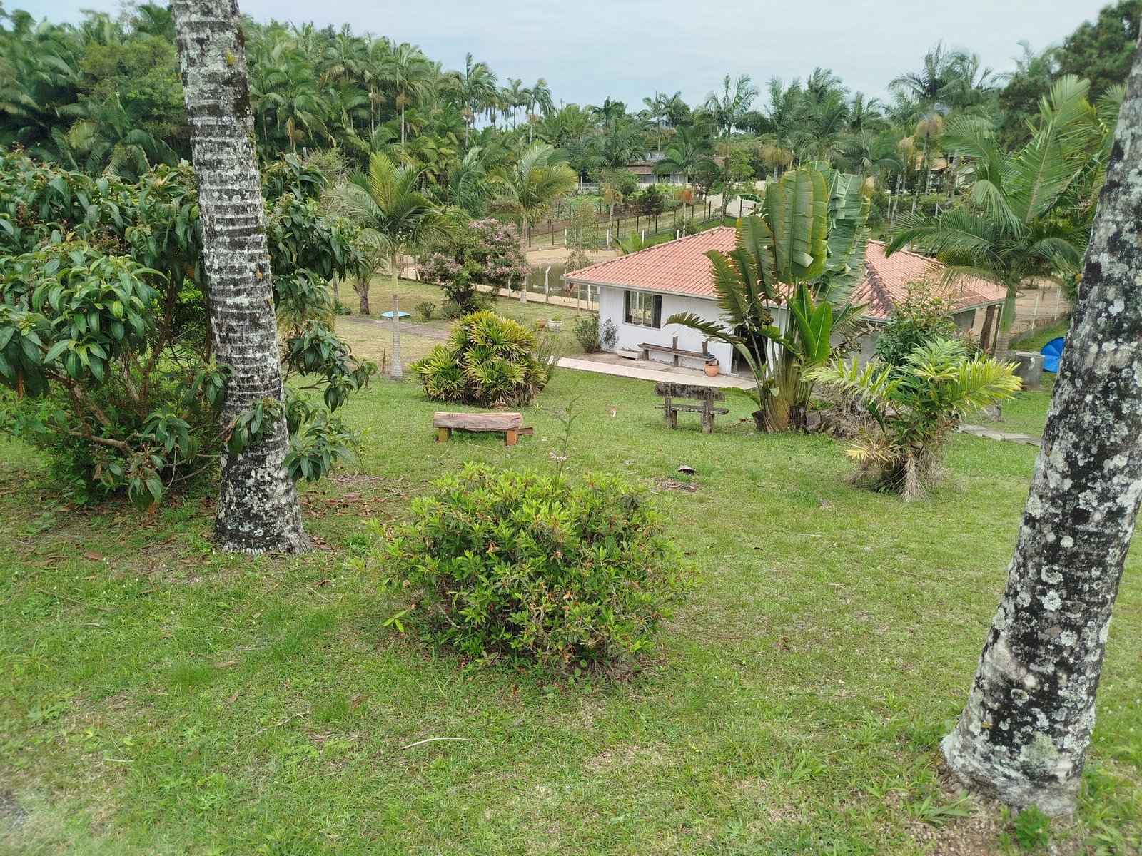Chácara, 2580 m² - Foto 1
